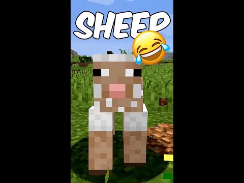 Getting wool funny Minecraft#Shorts