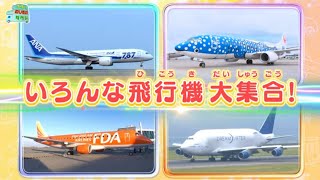 【のりもの図鑑】いろいろな飛行機大集合（ジェット旅客機、ジンベエジェット、貨物機｜はたらくのりもの）