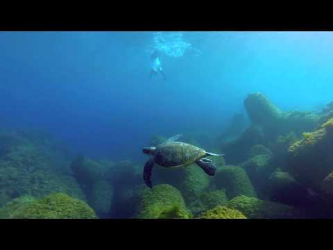 Fun Freediving! Play under the arch! - Hachijo Yaene, May 2014 (八丈島)