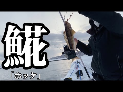 【北海道】【釣り】小樽方面‼️開幕‼️水中カメラに、、、！？