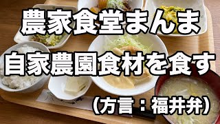 福井県福井市ランチ　農家食堂まんま　自家農園食材ランチ　白米食べ放題（方言：福井弁）北陸グルメ　福井県グルメ