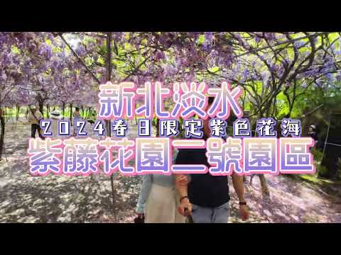 Moments Like This - The afters丨新北淡水丨紫藤花園二號水源園區丨2024春日限定紫色花海丨Osmo Action 3