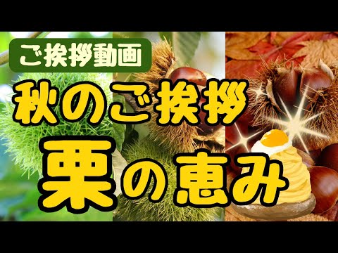 【ご挨拶動画】秋のご挨拶カード動画「栗の恵み🌰モンブラン」LINEで送る無料グリーティングカード動画 💐