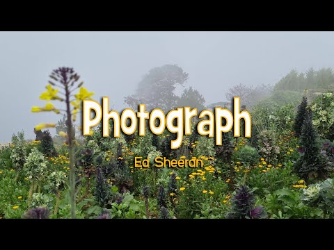 Photograph - KARAOKE VERSION - in the style of Ed Sheeran