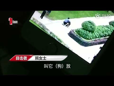 13岁少年小区内遭牧羊犬多处咬伤！涉事狗系禁养犬：无证未拴绳\n