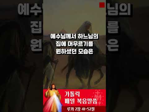 [가톨릭 복음말씀] 루카복음 2장 41-52절  | 프란치스코 교황님 강론 요약