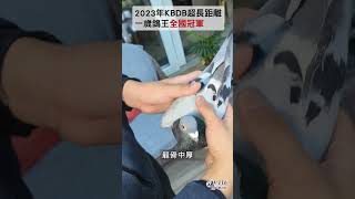 【名鴿欣賞】2023 KBDB超長距離一歲鴿王全國冠軍丨B22-3026791 弗洛爾丨吉爾特.馬洛伊