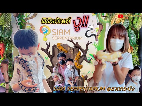 พิพิธภัณฑ์งู 🐍ลาดกระบัง | คาเฟ่งู🐍พาเด็กอยากเลี้ยงงูมาสัมผัสงูตัวเป็นๆ ไหวไม๊!!ถามใจดู