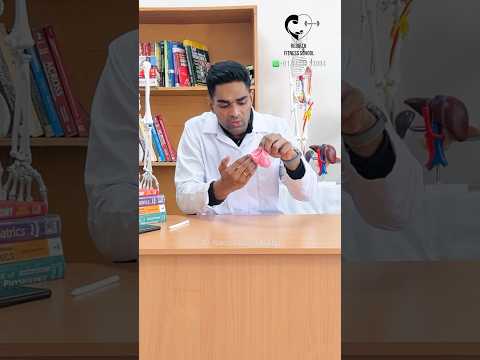 ஒவ்வொரு தாயும் அறிந்து கொள்ள வேண்டியது/ Cryptorchidism in Male babies- Dr. Isacc Abbas