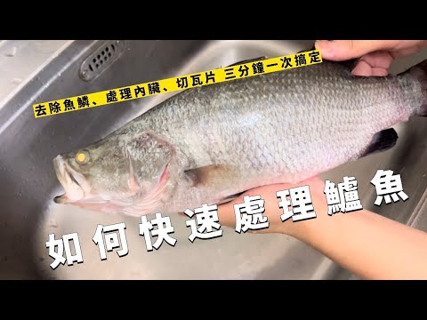 如何在無去鱗器下快速處理鱸魚呢？｜從去魚鱗、處理內臟、切瓦片｜