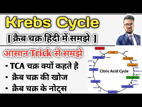 Krebs Cycle | Krebs Cycle in Hindi | Krebs Cycle trick | Krebs Cycle Notes | Glucose Metabolism