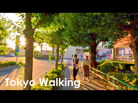 Tokyo, Japan, Stroll around Ogawa, Tokyo, a place different from the city