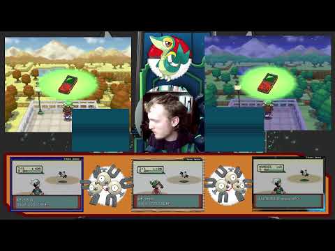 Live! - Snivy & Wailord Hunting!