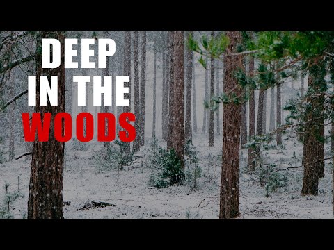 3 Hours Of Scary Deep Woods Horror Stories | Scary Deep Woods Stories | With Rain Sounds