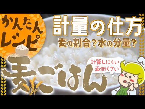 【かんたんレシピ】麦ごはん 計量の仕方