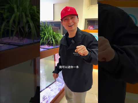 把钓回来的鱼养在鱼缸里！国内原生鱼天花板~ 好多稀有鱼种，好多巨物鱼种，一次看个够！