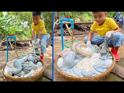 Delicious big intestine cook with country style - Chef Seyhak