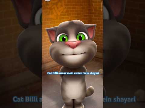 Cat Billi shayari Santosh short video billi ki awaaz mein shayari video #short #comedy