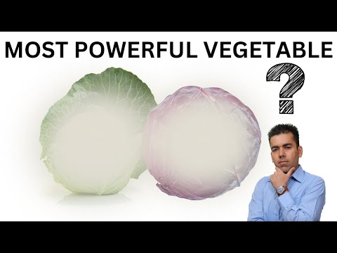 Dangerous Vegetable? Is it the most powerful vegetable or most dangerous? Lets hear facts!