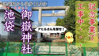 【御嶽神社/Mitake Shrine】池袋パワースポット【アヒルさんを探せ！】フクロウのお守り