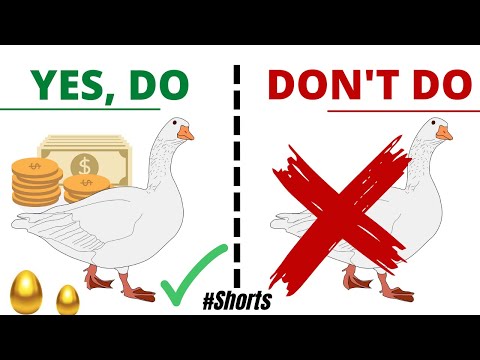 ALWAYS Protect A Goose That Lays Golden Eggs (Aesop's Fable Teaches The #1 Rule Of Wealth!) #shorts