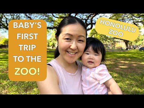 VISITING THE HONOLULU ZOO WITH A FIVE MONTH OLD BABY, W&M Burger, Local Hawaii Experiences