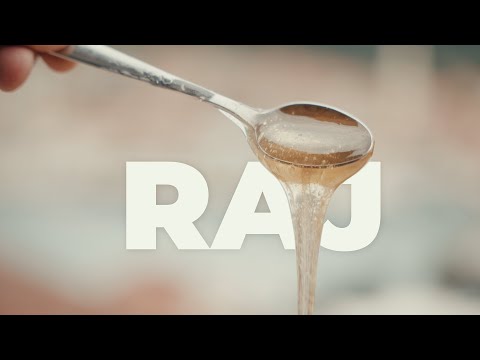 BOBSI - RAJ (OFFICIAL VIDEO)