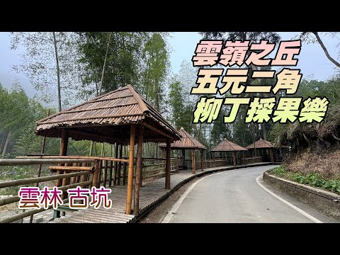 山水俱樂部-雲嶺之丘+五元二角+古坑柳丁採果樂一日遊