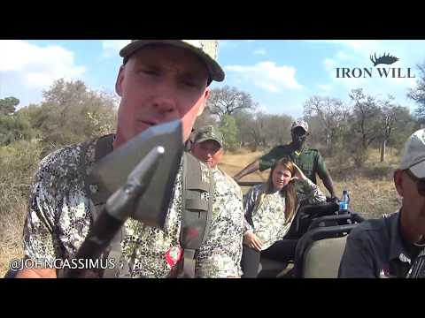 Bow Hunting Cape Buffalo - Best Broadhead for Maximum Penetration on Huge Animals