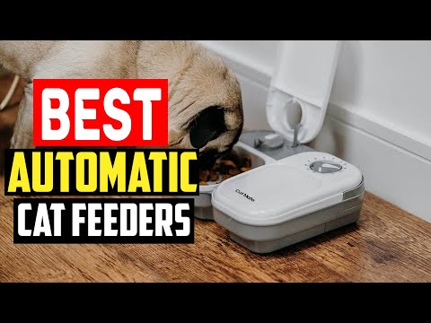 ✅Top 5 Best Automatic Cat Feeders of 2024