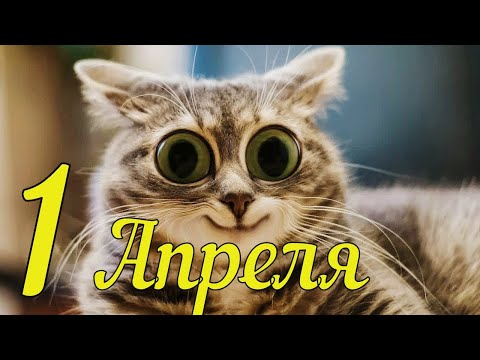 1 АПРЕЛЯ ДЕНЬ СМЕХА! Прикольное Поздравление с Днем Смеха! Видео Открытка с Днем Смеха!