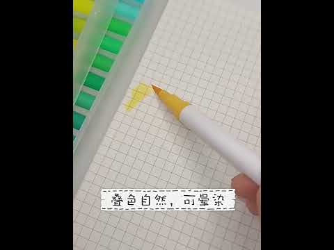 [Little B House] Double Head Pen Colour Pen Watercolour Brush Pen Calligraph Art Stationery - ST63