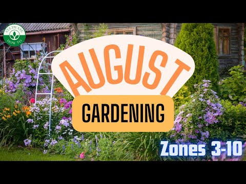 MUST KNOW Gardening Tips For AUGUST! Zones 3-10