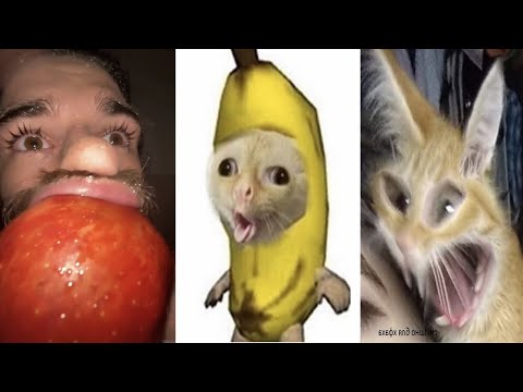 TRY NOT TO LAUGH 😂 NEW Best Funny Meme Videos 😆😂🤣 PART 23