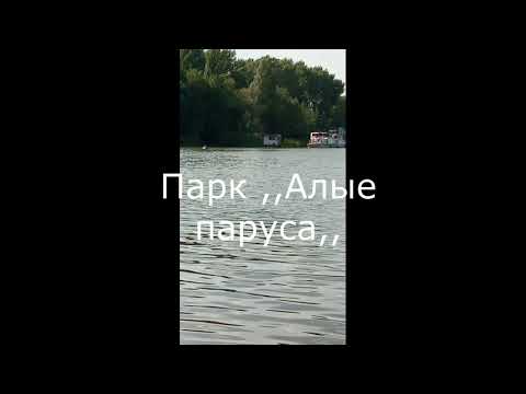 ВОРОНЕЖСКОЕ ВОДОХРАНИЛИЩЕ. ПАРК ,, АЛЫЕ ПАРУСА,,. МИЛЫЕ ВОДОПЛАВАЮЩИЕ.