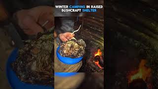 Solo Camping Bushcraft Making Dinner #shorts #viral