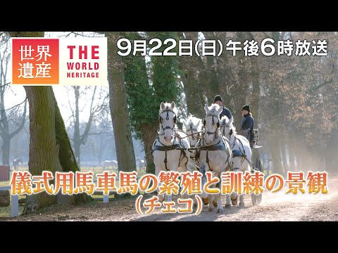 【TBS世界遺産】皇妃エリザベートが愛した白馬の牧場～儀式用馬車馬の繁殖と訓練の景観（チェコ）【9月22日午後6時放送】