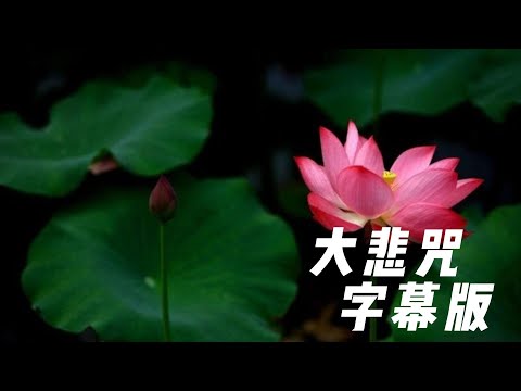 大悲咒 有字幕 无广告 完整版 महा करुणा धारनी  Sahasrabhuja Sahasranetra Avalokiteśvara Mahā Karuṇā Dhāranī