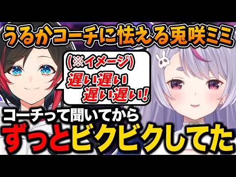 えぺまつりのコーチがうるかと聞き怯えていた兎咲ミミ【ぶいすぽ/切り抜き/APEX】