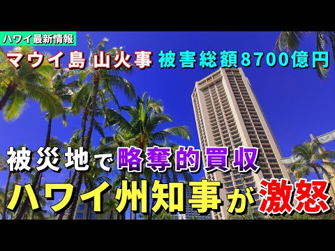 侵略的な行為と痛烈批判！マウイ島火災から11日...現地では様々な問題も発生しています【ハワイ最新情報】【ハワイの今】【ハワイ旅行2023】【HAWAII】