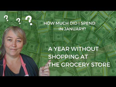 A Year without Shopping in a Grocery Store | January Reflection and Costs