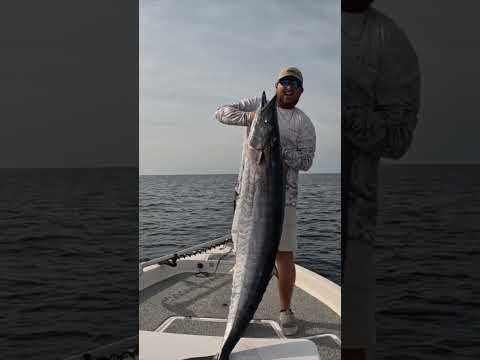 I was fishing 50 miles offshore solo when I caught this #shorts #fishing  #giant  #offshore