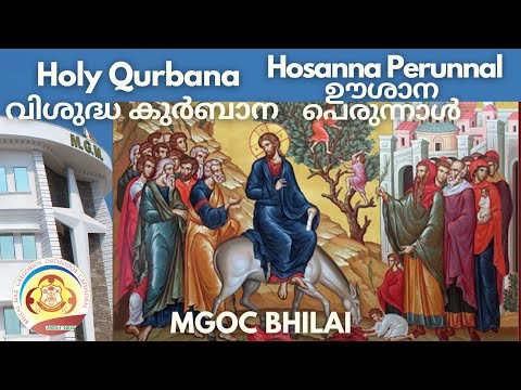 MGOC Bhilai | Morning Prayer & Holy Qurbana | 02nd Apr 2023 | Hosanna Perunnal | ഊശാന പെരുന്നാൾ |