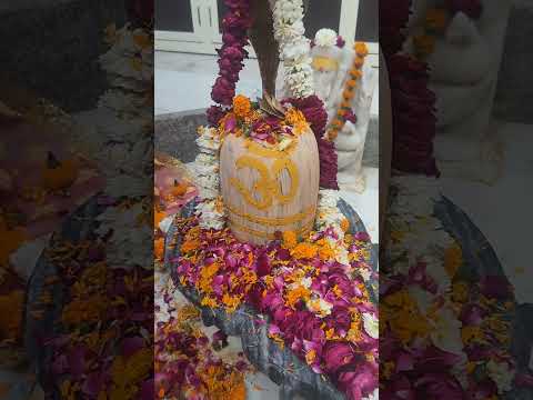 Har Har Mahadev🙏#tranding #viral #shortvideo #tiktokvideo #mahadev #reels #india #viralvideo #shorts