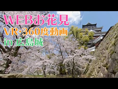 WEB花見【広島城の桜編】マウス・指で見回せます※VRゴーグルまたは机に置いて閲覧推奨※360度動画【自然音あり】