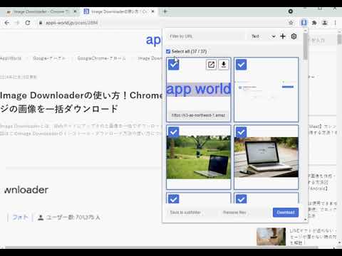 【WindowsでのImage Downloader】Chrome拡張機能でページの画像を一括ダウンロード