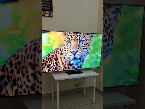 Samsung QN95D NeoQLED TV Unboxing - The Best TV For Gaming?