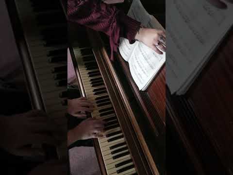 Haydn Sonata in C major Hob. XVI/1 (Allegro)