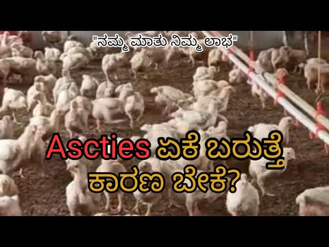 Ascties ಏಕೆ ಬರುತ್ತೆ ಕಾರಣ ಬೇಕೆ? Ascties ಬರದಂತೆ ಸಾಕುವುದೇ ಈ ಸಂಚಿಕೆಯ ಉದ್ದೇಶ.