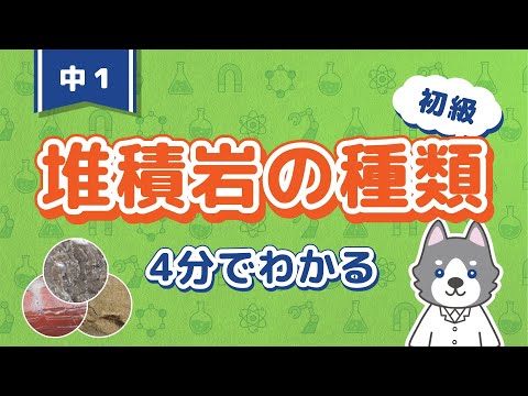 中1理科『堆積岩の種類と特徴』